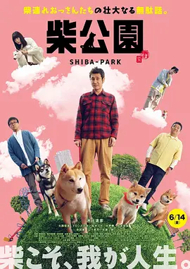 能看的黄色网址