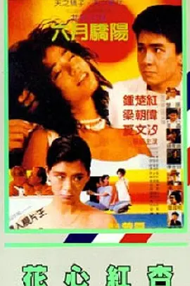 av小说免费在线观看