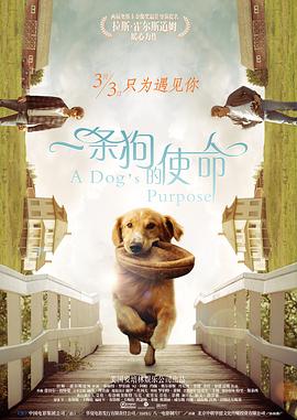 同事的姐姐