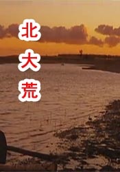 69av成人