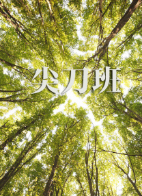妻子的101婚姻
