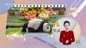 99久久国产精品综合色